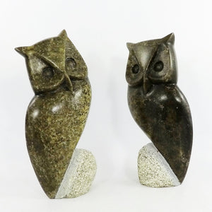 Pair of Owls