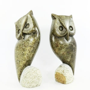 Pair of Owls